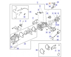 Dichtring Dichtung Wärmetauscher AGR- / EGR-System SAAB 9-5 II 2.0 TiD A20DTH 2.0 TTiD A20DTR, Original-Ersatzteil - OE Nr. 55579120